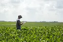 iPad_SoybeanField_2.webp